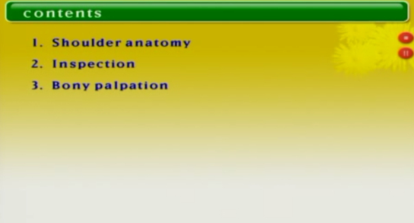 물리치료진단학