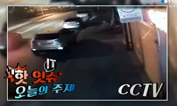 똑똑한 지킴이, CCTV