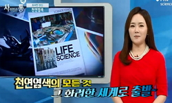 화려한 변신, 천연염색
