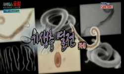 기생충 열전