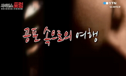 공포 속으로의 여행
