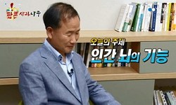 인간 뇌의 기능