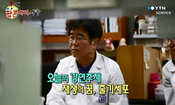 재생의 꿈, 줄기세포