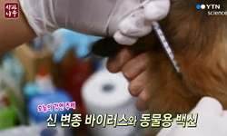 사람이 동물을 감염시킨다?