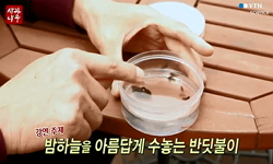 밤하늘을 아름답게 수놓는 반딧불이