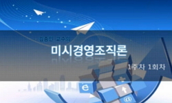 미시경영조직론