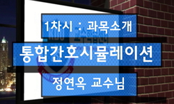 통합간호시뮬레이션
