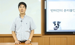 반려동물의 치료학