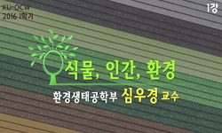 식물, 인간, 환경