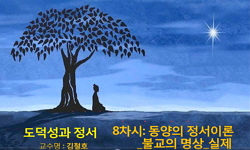 도덕성과 정서