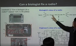 시스템생명공학개론