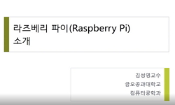 라즈베리 파이 환경에서의 파이썬 기반 영상분석