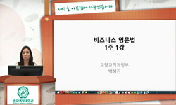 비즈니스영문법(21)