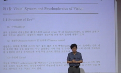 시각심리 및 디스플레이 공학