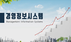 경영정보시스템