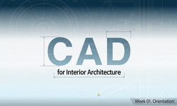 CAD