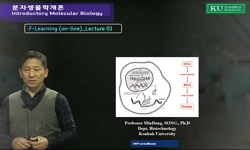 분자생물학개론