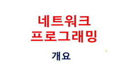 네트워크 프로그래밍 및 실습