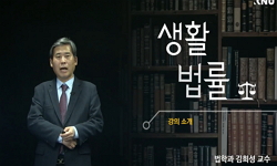 생활법률(2019-1합반)