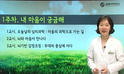 뇌를 알면 감정이 보인다