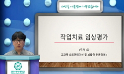 작업치료임상평가(21)