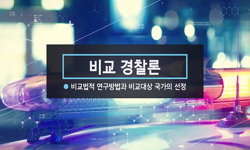 비교경찰론