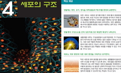 일반생물학 및 실험1