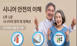 시니어 안전의 이해