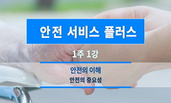 안전 서비스 플러스