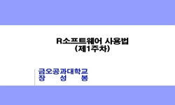 R소프트웨어 사용법