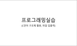 프로그래밍실습