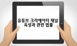 유튜브크리에이터채널육성과관련법률