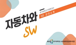 자동차와 SW