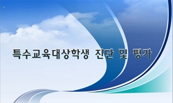 특수교육대상학생 진단 및 평가