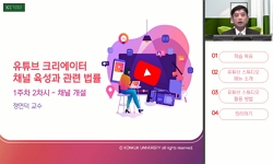 유튜브 크리에이터 채널 육성과 관련 법률