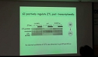 GIGANTEA에 의한 청색광을 이용한 ZTL rhythms 단백질의 안정화에 관한 연구