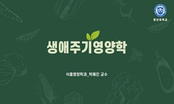 생애주기영양학