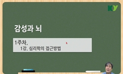 감성과뇌