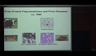 노벨 수상자 특별강연-Prion 단백질의 구조와 광우병