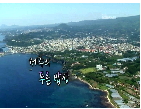 제주의 푸른 밥상
