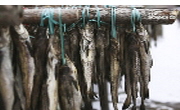 강원도 산골 漁밥상, 황태&송어