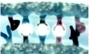 극한의 위대한 발견Ⅰ