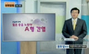 젊은 층을 노린다, A형 간염