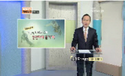 겨울철 레포츠 스키, 안전하게 즐기기