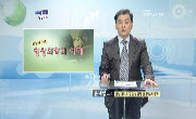 영상의학의 이해
