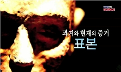 <다큐S+>과거와 현재의 증거, 표본