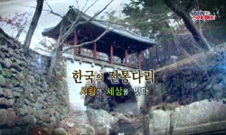 <한국사 과학 탐>한국의 전통다리, 사람과 세상을 잇다