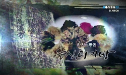 <한국사 과학 탐>한식의 뿌리, 음식디미방
