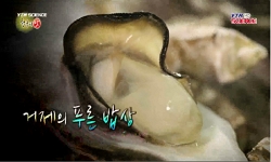 거제의 푸른 밥상