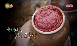 한국인의 힘, 순창 고추장